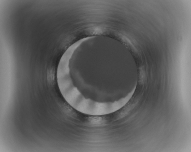 X0000111020230200907310938