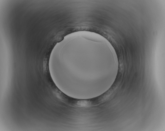 X0000111020231200907310938