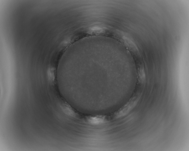 X0000111020232200907310938