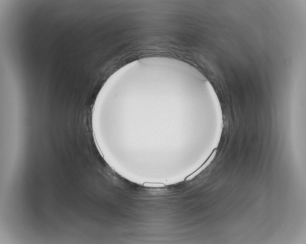 X0000111020233200907310938