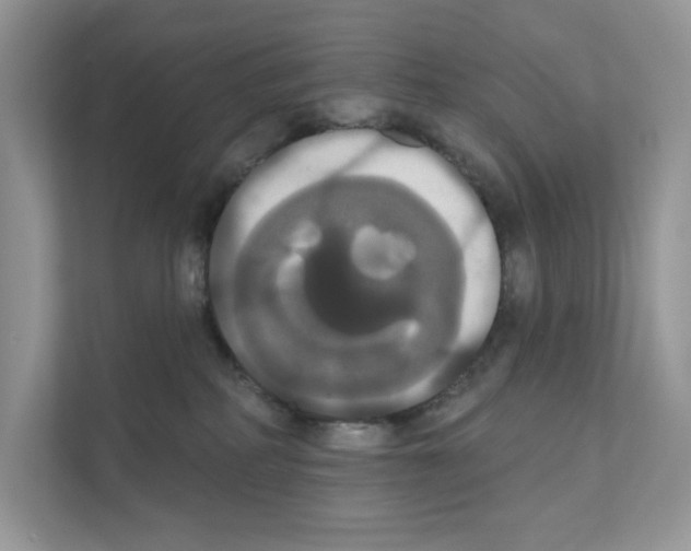 X0000111020234200907310938