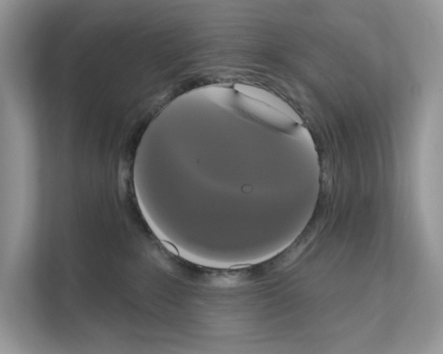 X0000111020235200907310938
