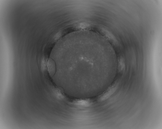 X0000111020236200907310938