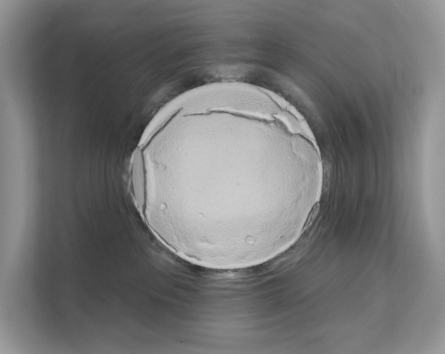 X0000111020237200907310938