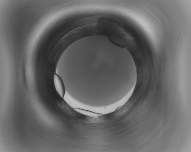 X0000111020239200907310938