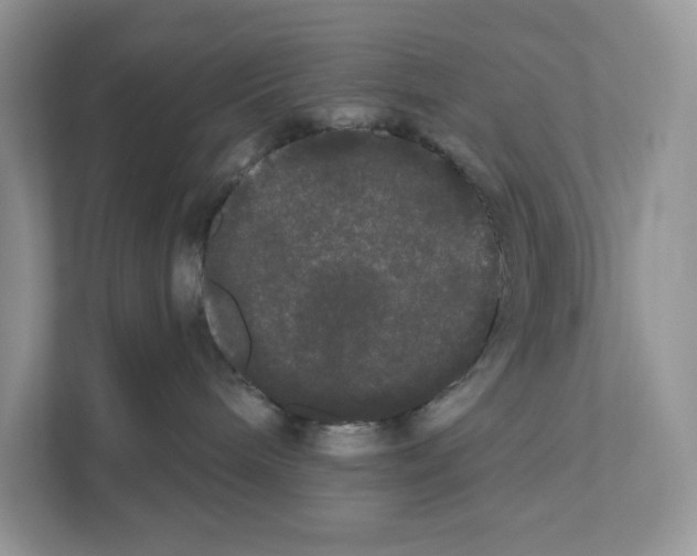 X0000111020240200907310938