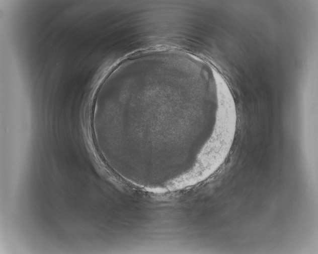 X0000111020241200907310937