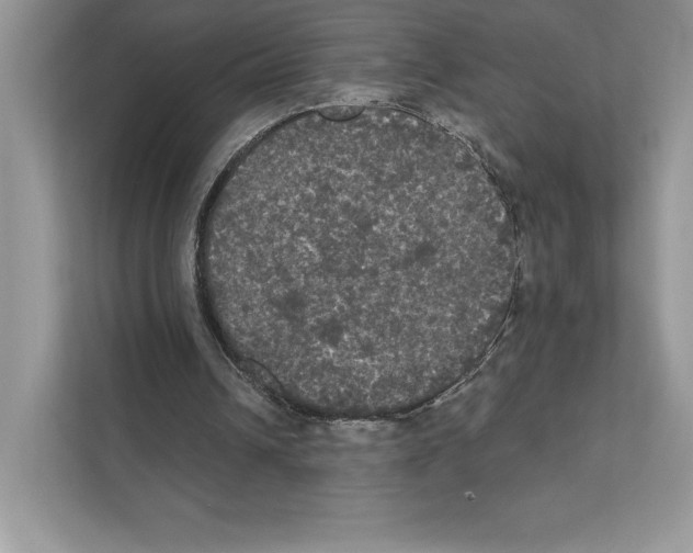 X0000111020242200907310937