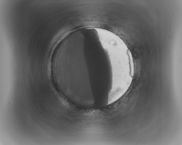 X0000111020243200907310937