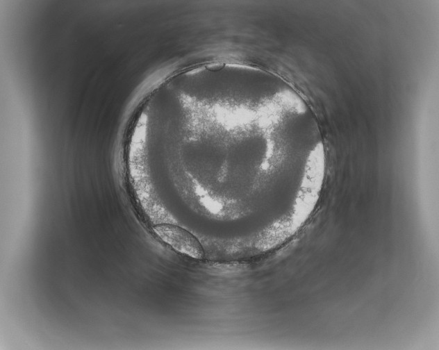 X0000111020245200907310937