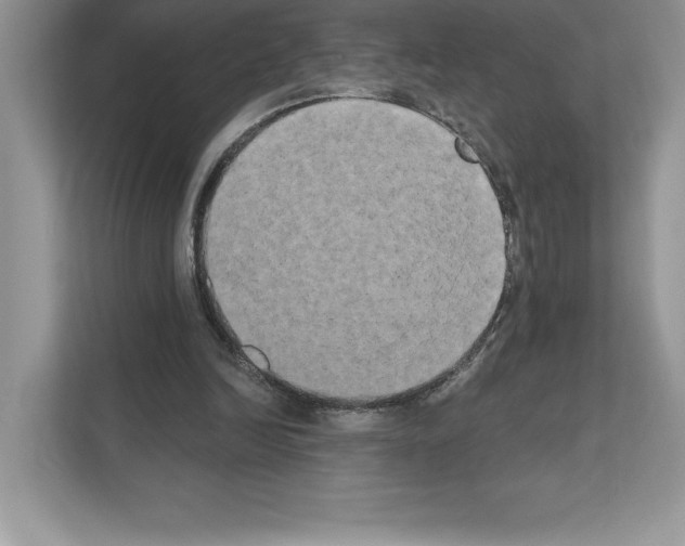 X0000111020246200907310937