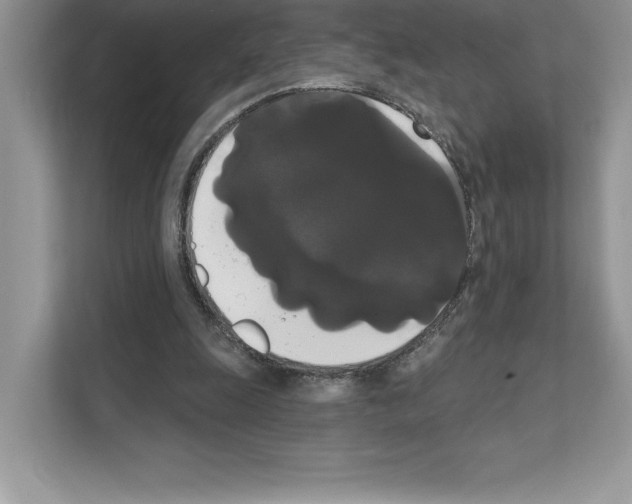X0000111020247200907310937