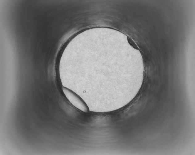 X0000111020248200907310937