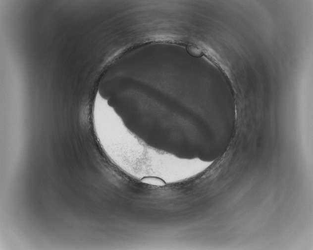 X0000111020249200907310937
