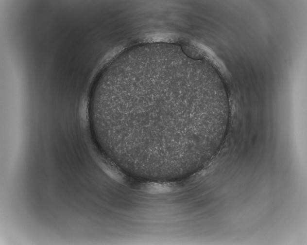 X0000111020250200907310937