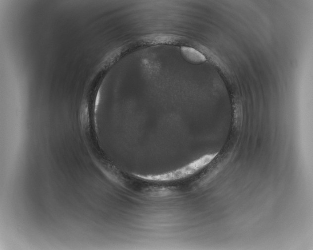 X0000111020254200907310938