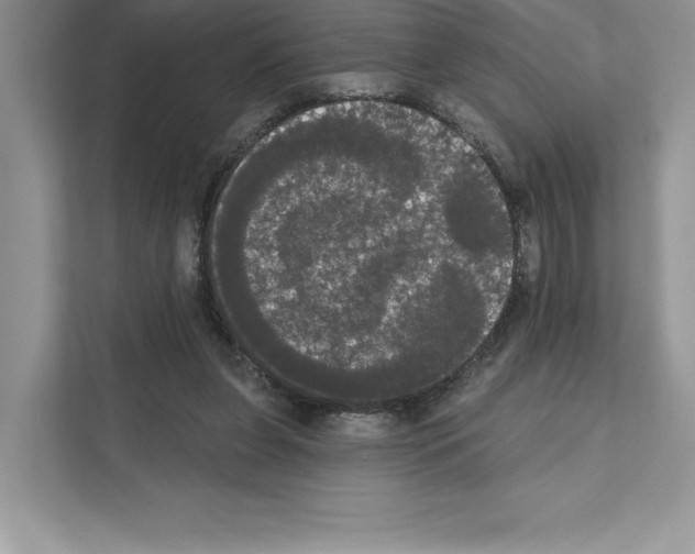 X0000111020255200907310938