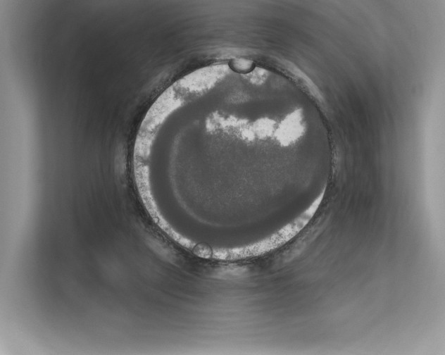X0000111020257200907310938
