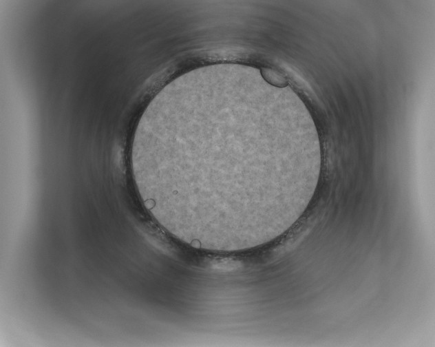 X0000111020258200907310938