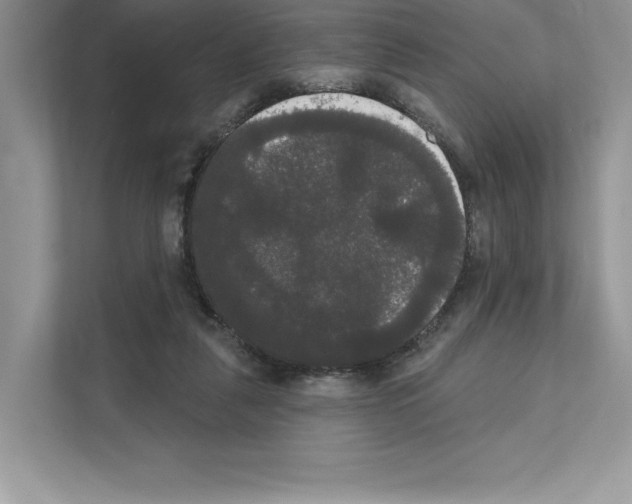X0000111020259200907310938