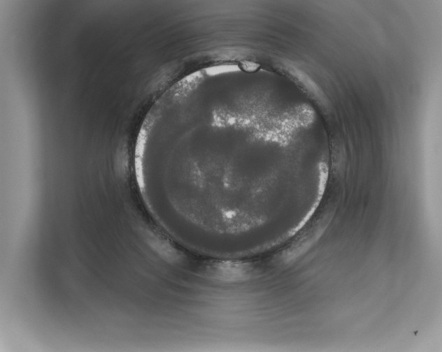 X0000111020261200907310938