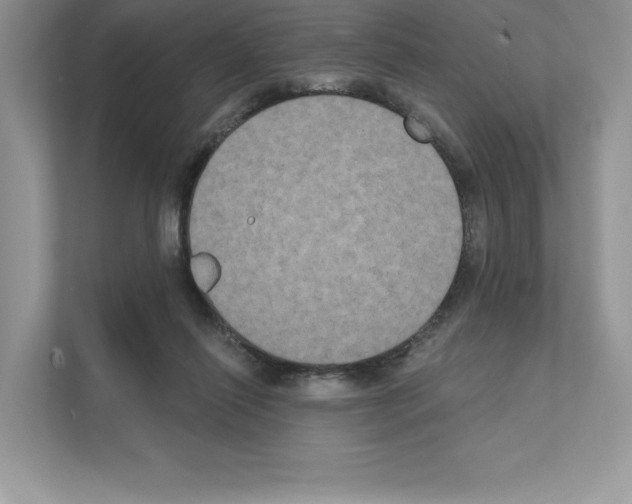 X0000111020262200907310938