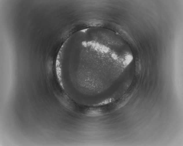 X0000111020263200907310938