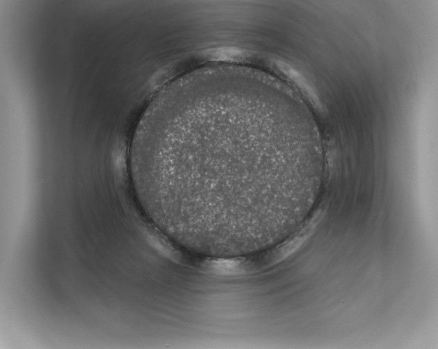 X0000111020265200907310938