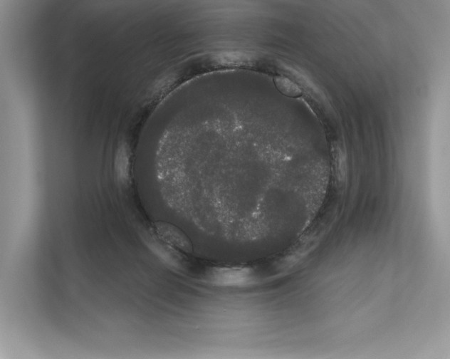 X0000111020266200907310938