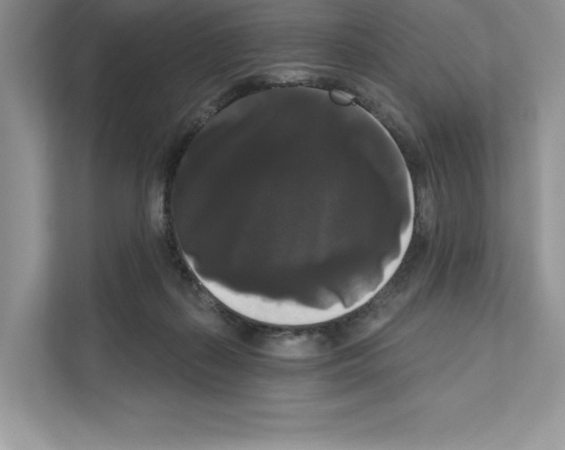 X0000111020267200907310938