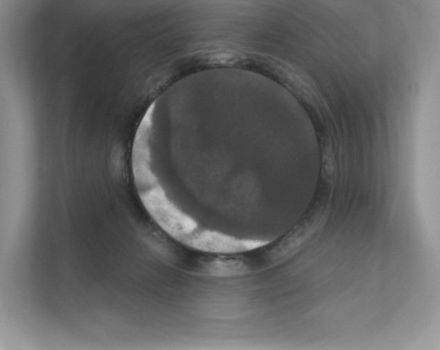 X0000111020270200907310938