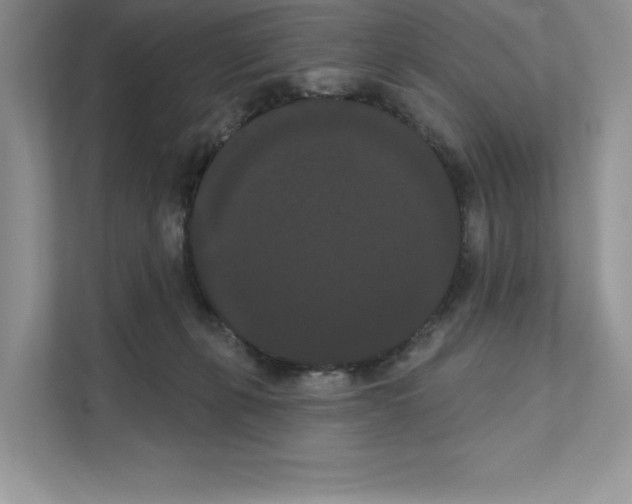 X0000111020271200907310938