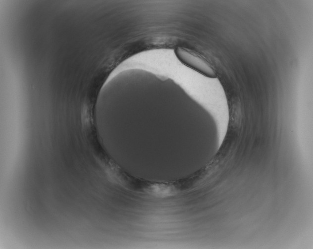 X0000111020272200907310938