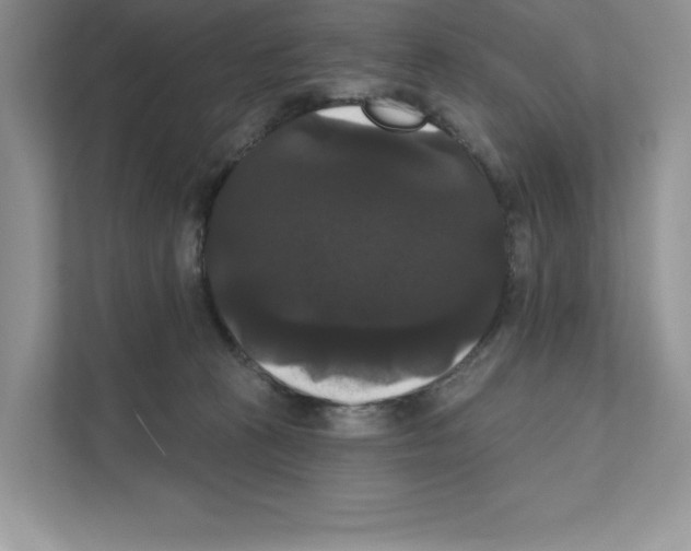 X0000111020273200907310938