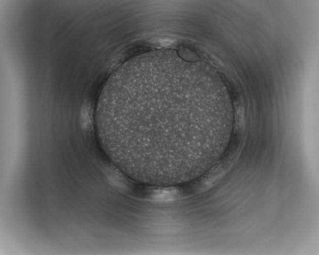 X0000111020274200907310938