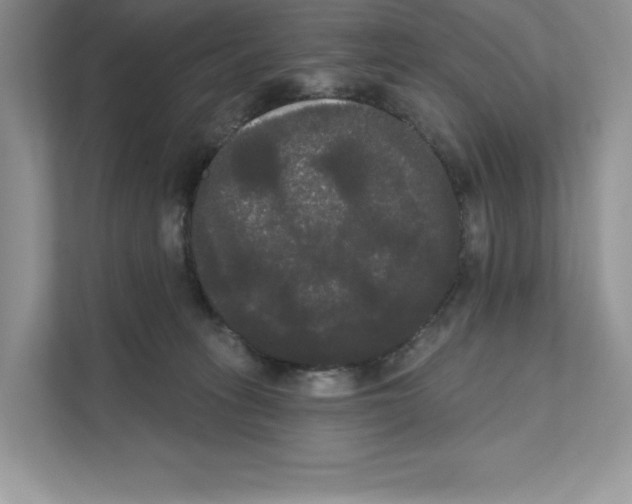 X0000111020275200907310938