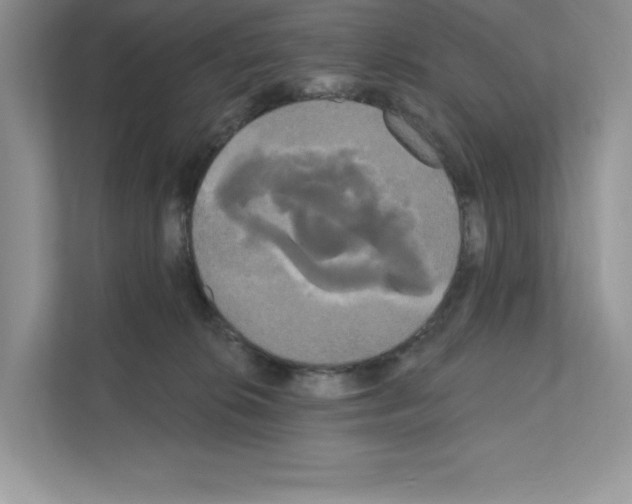 X0000111020276200907310938
