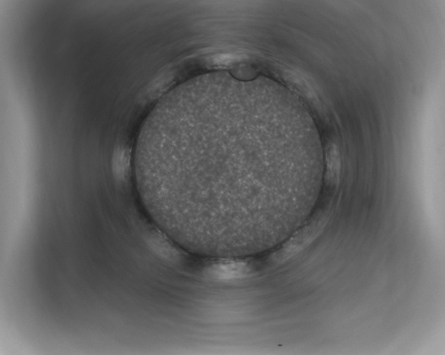 X0000111020278200907310938