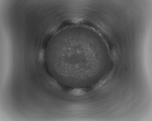 X0000111020280200907310938