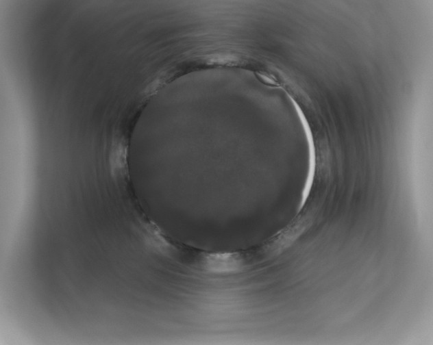 X0000111020281200907310938