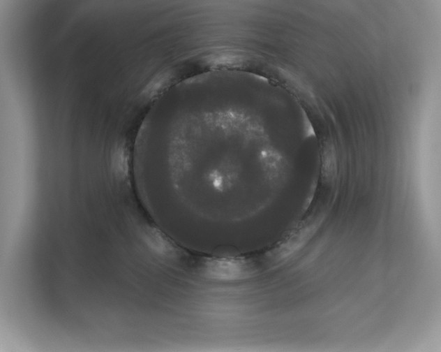 X0000111020282200907310938