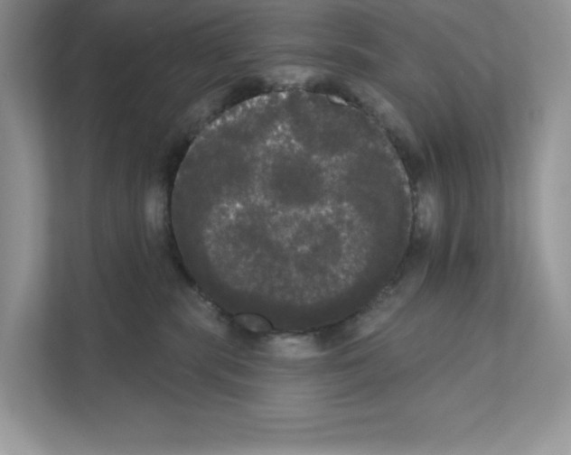 X0000111020283200907310938