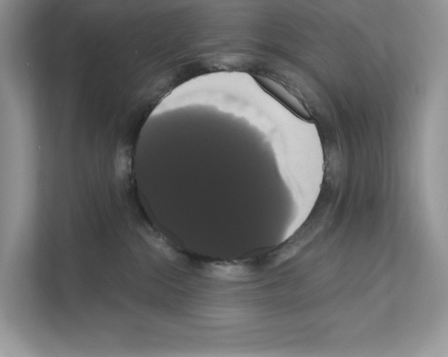 X0000111020284200907310938