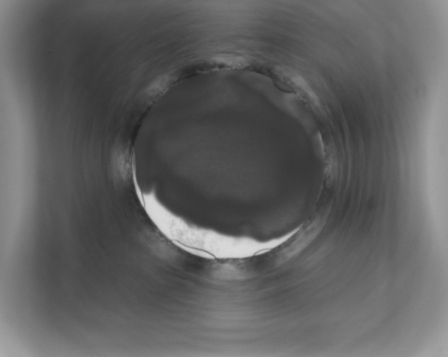 X0000111020285200907310938