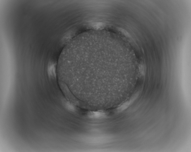 X0000111020286200907310938