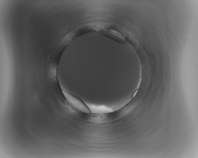 X0000111020288200907310938