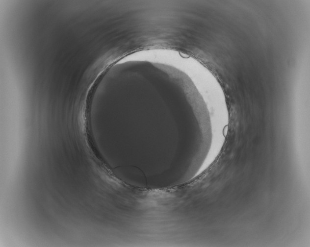 X0000111020290200907310937