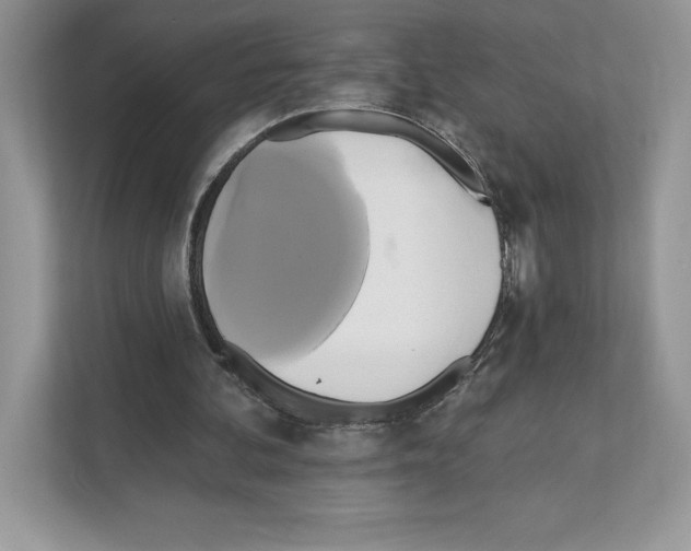 X0000111020292200907310937