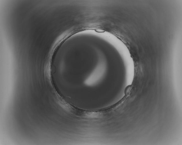 X0000111020293200907310937
