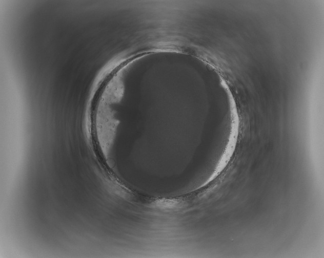 X0000111020294200907310937